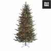 Sapin de noel shake2shape ledmacallan pine h425d180 vert 1272l tips 6276 ww -NF -384762