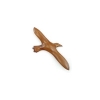Vols de l'albatros en résineux Lasterne -BAL040-1
