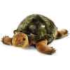 Tortue slo, verte STEIFF -68478