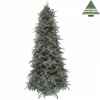 X-mas tree delux slim abies nordmann h260d145 forest blue tips 2699 Edelman -389649