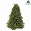 X-mas tree forest fr.pine h185d130 green tips 942 Edelman -788041