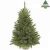 X-mas tree w/burlap forest fr.pine h60d46 green tips 64 Edelman -386252