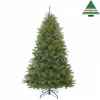 X-mas tree geneva pine h230d132 green tips 1099 Edelman -788197