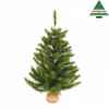 X-mas tree w/burlap richmond pine h60d53 d.green tips 65 Edelman -788622