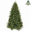 X-mas tree rocky mountain spruce h215d132 green tips 2917 Edelman -389567