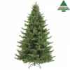 X-mas tree delux sherwood spruce h185d127 green tips 1575 Edelman -389096