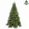 X-mas tree tuscan spruce h185d109 green tips 488 Edelman -782505