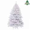 X-mas tree icelandic pine h155d94 white tips 343 Edelman -288875