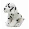 Acp dalmatien 19 cm # WWF -23 177 025