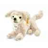 Golden retriever lumpi, crème STEIFF -076978