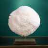 Corail blanc bowl gm halomitra pileus Objet de Curiosité -CO351-11