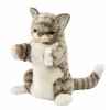 marionnette à main peluche réaliste chat gris -7163