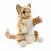 marionnette à main peluche réaliste chat roux -7182