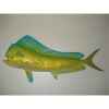 Trophée poisson des mers tropicales Cap Vert Coryphène -TR053