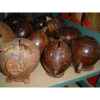 Tirelire en noix de coco Animaux Bois -lcdm039