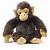 Peluche Anima Chimpanze Ushuaia Junior -204 