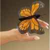 Marionnette Mini papillon royal  -2156