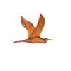 Lasterne - Les oiseaux en vol - Vol du héron - 60 cm - BHE060-2