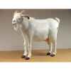 Anima - Peluche chèvre blanche 103 cm -4785