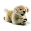 Anima - Peluche golden 42 cm -1650