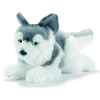 Anima - Peluche husky 27 cm -1647