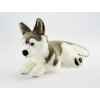 Anima - Peluche husky 42 cm -1646