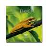 CD - Etangs - Ambiance nature