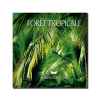 CD - Forêt tropicale - Ambiance nature