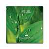 CD - Pluie - Ambiance nature