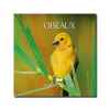 CD - Oiseaux - Ambiance nature