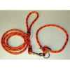 Ensemble laisse et collier cordo etrangleur Sellerie Canine Vendéenne 74600