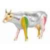 Grande vache cowparade vaca preciosa gm46719