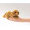 Marionnette à doigt mini peluche chien golden retriever folkmanis 2736