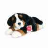 Peluche chien bouvier bernois couché 23 cm hermann 92705 1