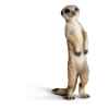 schleich-14368-Figurine Suricate debout