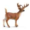 schleich-14253-Cerf de Virginie