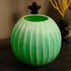 Vase cactus vert Objet de Curiosité -VA029