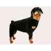 Peluche debout rottweiller 100 cm Piutre -2256