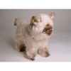 Peluche debout phoque d'himalaya 30 cm Piutre -2368