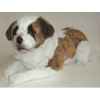 Peluche allongée Saint Bernard 70 cm Piutre -3227