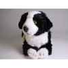 Peluche allongée border collie 45 cm Piutre -1218