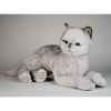 Peluche allongée chat british poils courts 45 cm Piutre -2461