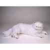 Peluche allongée chat persan blanc 50 cm Piutre -2393