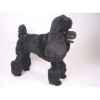 Peluche debout poodle noir 80 cm Piutre -250