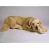 Peluche allongée golden retrievier 60 cm Piutre -2205