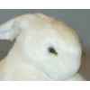 Peluche lapin blanc 30 cm Piutre -708